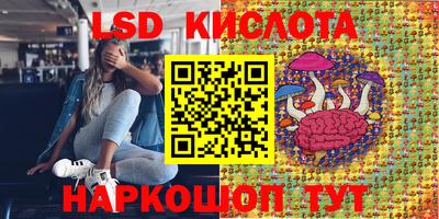 спайс Малгобек