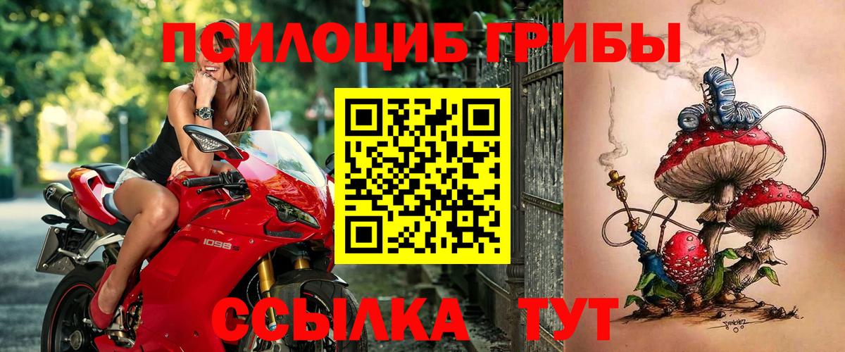 Псилоцибиновые грибы Psilocybine cubensis  Вход с VPN  Тимашёвск 