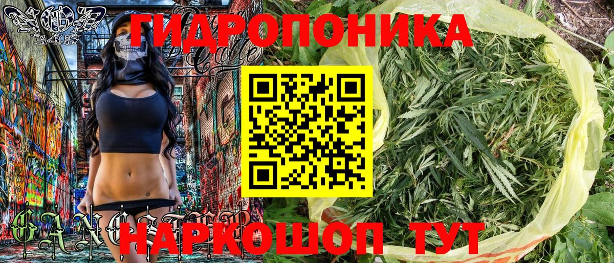 Тимашёвск  Каннабис VHQ  Бошки Шишки марихуана  Шишки марихуана сатива  Вход с VPN 